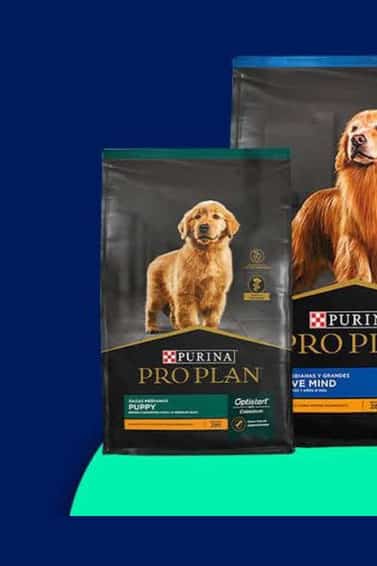 Catalogo Petco Americas 2024 : Ofertas Catalogo Petco Americas 2024 : Ofertas